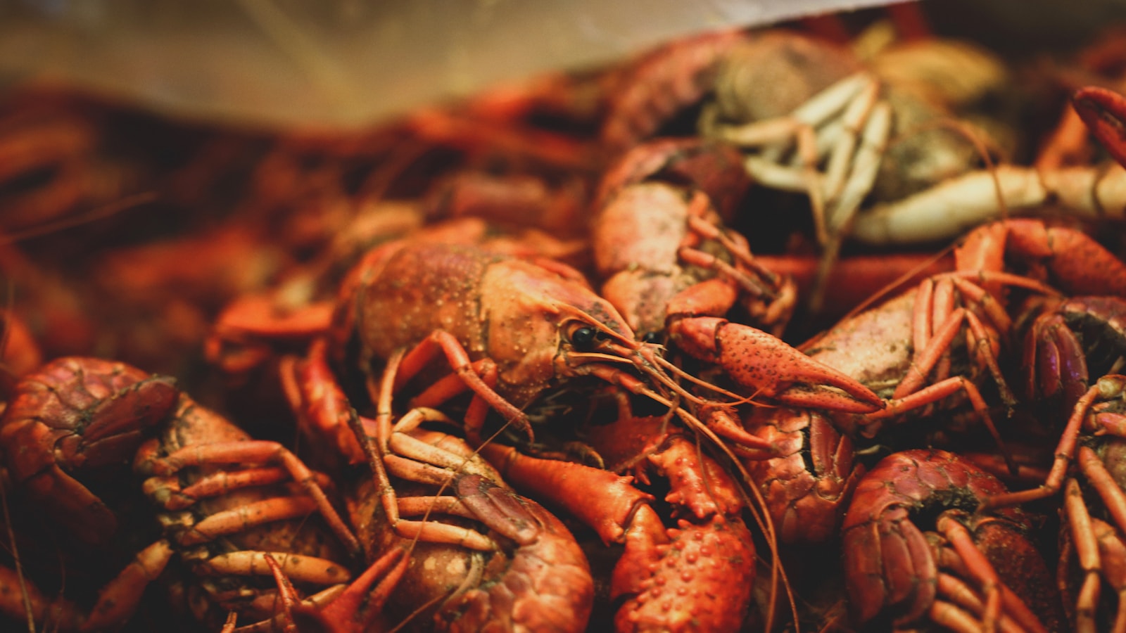 New Orleans food scene